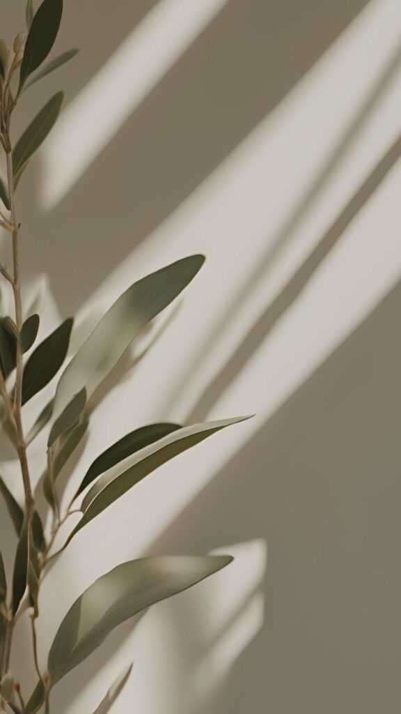 Group Therapy in Budapest